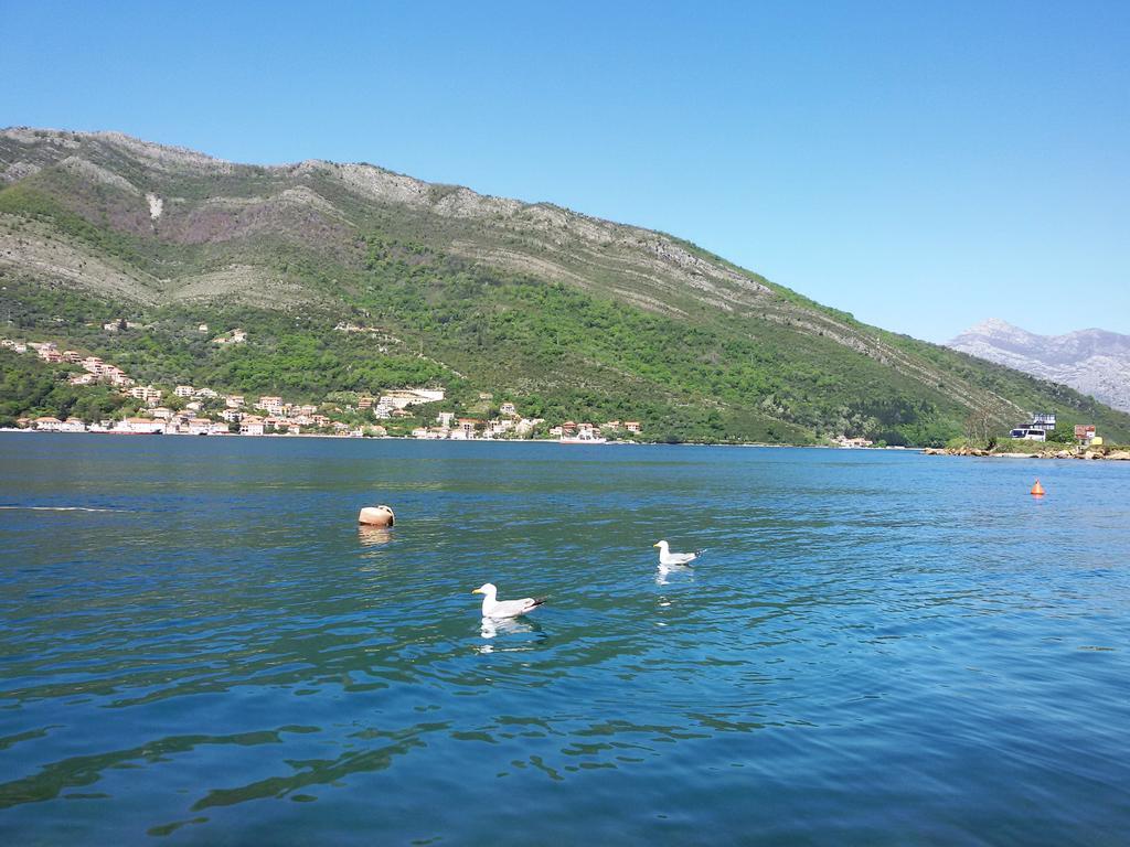 Apartmani Ivana Tivat Exterior photo